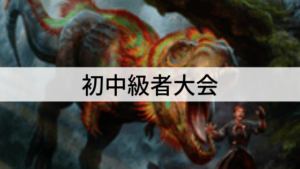 第二回　初中級者大会