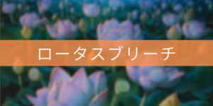 【パイオニア】ロータスブリーチ