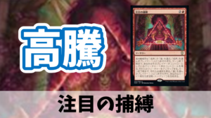 【高騰】注目の捕縛/Seize the Spotlight【2022年8月】