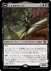 mtg 進め、エオルの家の子よ！　3枚セット 460)□ショーケース□《進め、エオルの家の子よ！/Forth