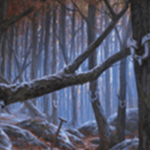 【Historic】変容する森林コンボ